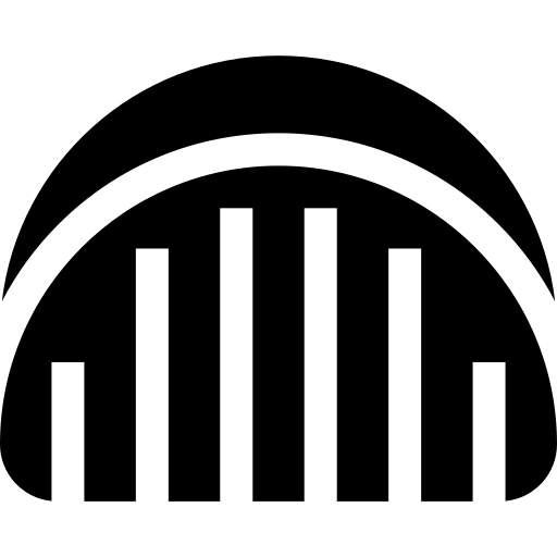 Pitta Dosha